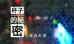 天津饭店爆料视频最新版,惊人内幕曝光！