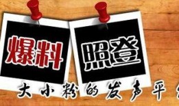 爆料新闻媒体,爆料新闻媒体深度剖析行业内幕