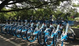 桂林单车爆料最新消息新闻,悲剧发生，原因调查中