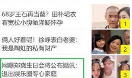 娱乐圈爆料的叫什么名字,揭秘明星背后的惊人真相