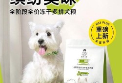 诚实一口狗粮爆料视频下载,诚实一口视频下载背后的真实故事