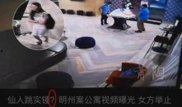 韩国兽医爆料案件视频,视频曝光背后真相