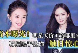 娱乐圈内部爆料真实吗,揭秘真相与谣言的交织