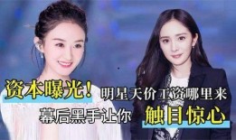 娱乐圈内部爆料真实吗,揭秘真相与谣言的交织