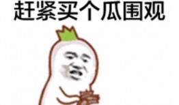 娱乐圈吃瓜的表情包是谁,娱乐圈吃瓜表情包背后的神秘制造者揭秘