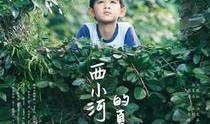 夏天什么的在线观看,在线重温那些夏天美好瞬间